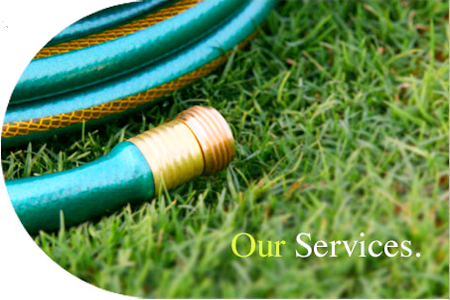 Landscaping Inner City Sydney