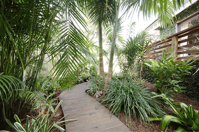 Balinese Garden Design Sydney