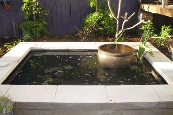Water Feature Sydney