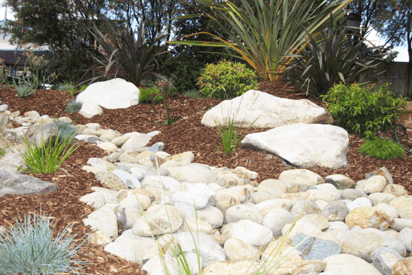 Australian Native dry river bed Garden