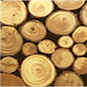 Timber/Decking Construction