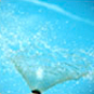 Water Features