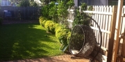 before-garden-photos