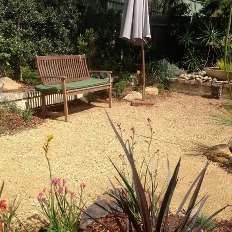 Modern Australian Native Garden Lower North Shore