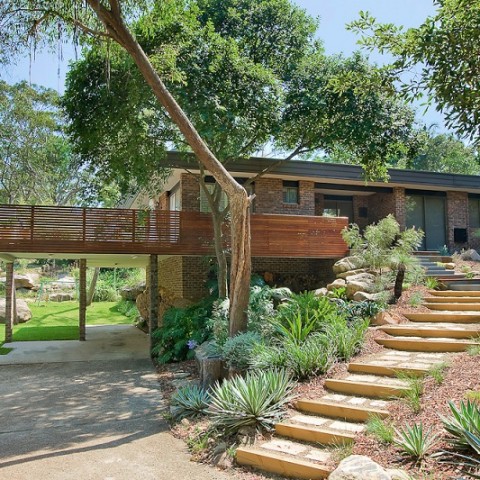 Modern Native Garden Allambie Bushland Garden