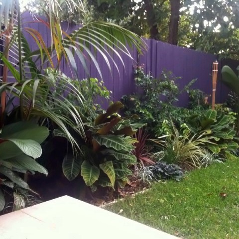 Tropical Balinese Garden Freshwater Sydney