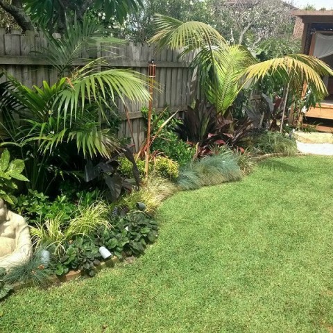Tropical Garden Design Northern Beaches