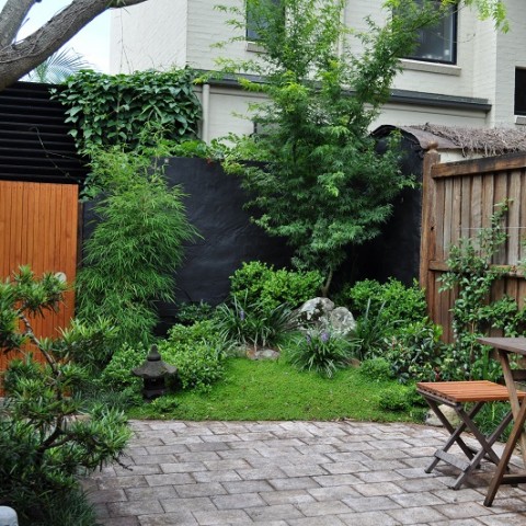 Japanese Courtyard Garden Glebe, Inner West Sydney