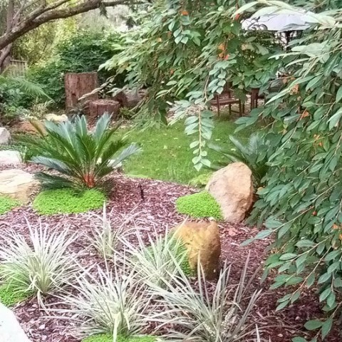 Asian Garden Design Pymble North Shore