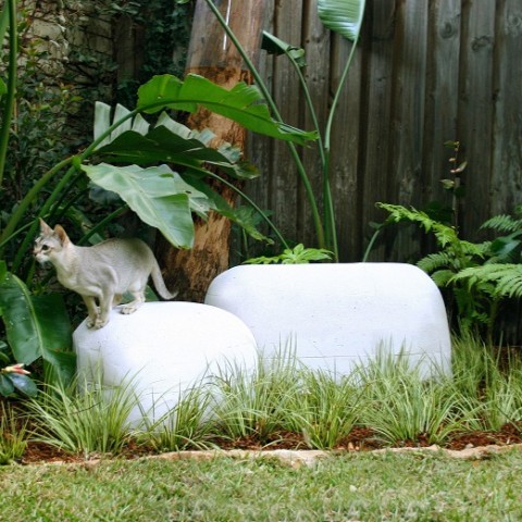 Balinese/Tropical Garden Northern Beaches