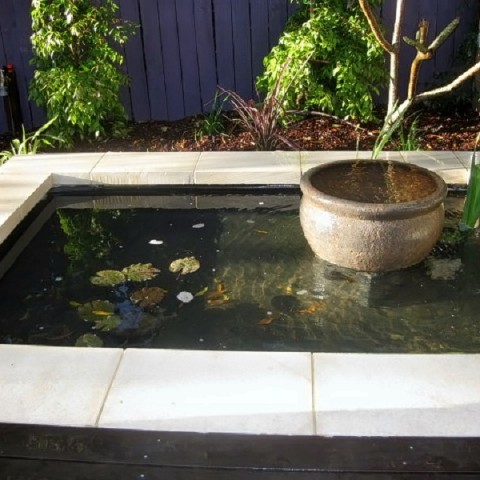 Water Bowl Pond Water Feature Northern Beaches