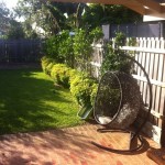 Before-Garden-Photos-150x150