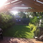 Garden-Before-150x150