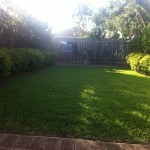 Landscape-Before-150x150