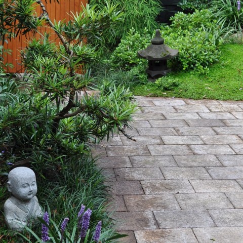 Japanese Courtyard Annandale Inner West Sydney