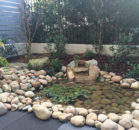 Modern Terrace Courtyard Sydney Small Garden Inner West