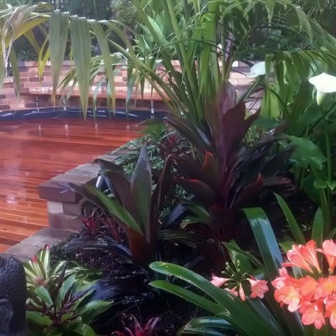 Balinese Garden Design Rozelle Inner West Sydney